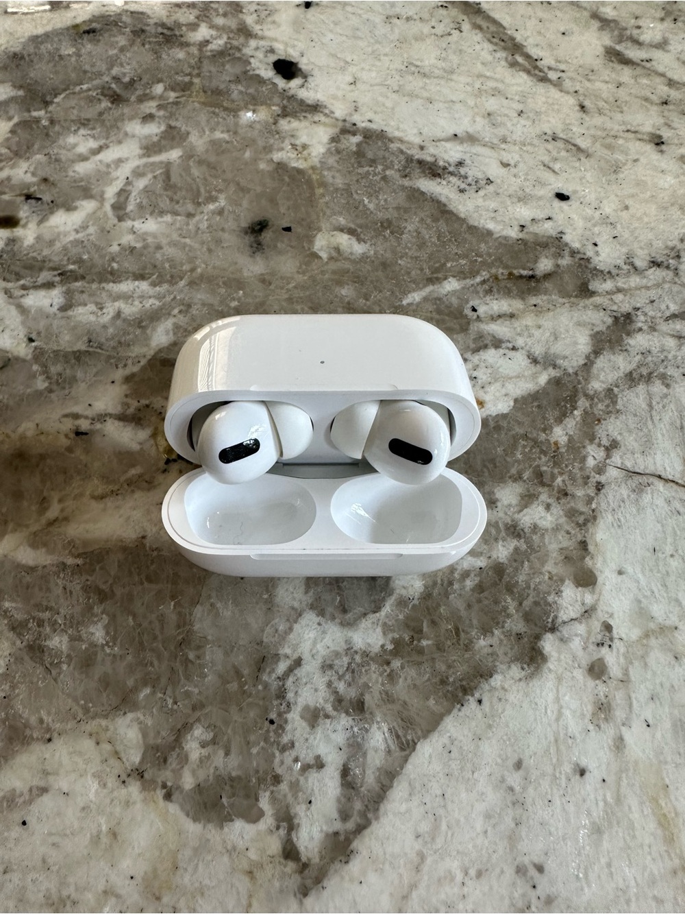 Apple AirPods Pro 1st Generation + Wireless Charging Case